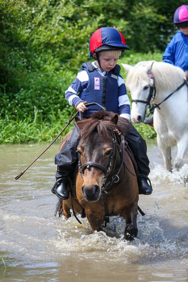 Irish Pony Club